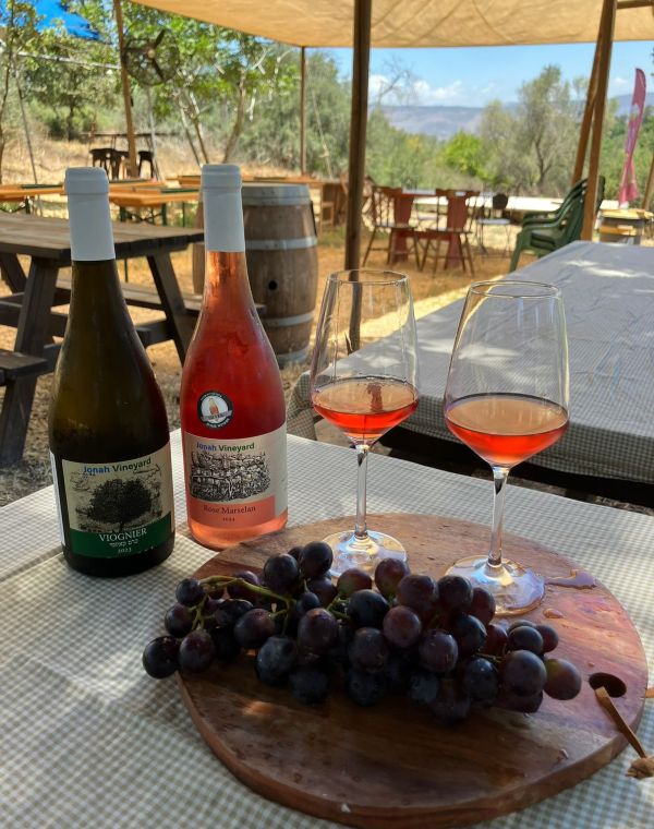תמונה של יקב יונה: יקב בוטיק בלב ציפורי - למטייל בישראל (טיולי)